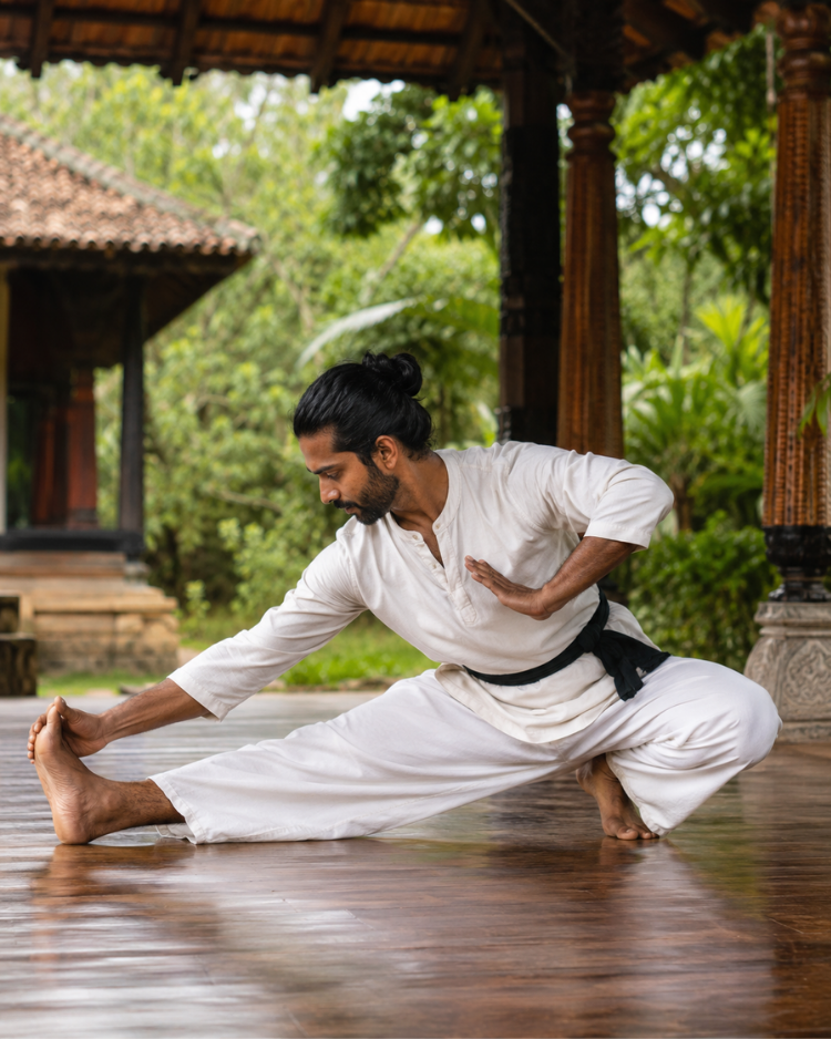 Angampora: Can Sri Lanka's Ancient Warrior Martial Art Replace Your Gym Workout? 3 Angampora